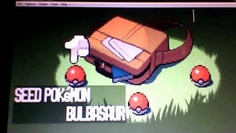 pokemon ruby hack-part 1 - A new start