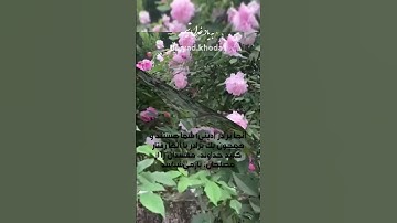 #سورة_البقرة #آیه۲۲۰#قرائت زیبای#قرآن #تلاوتقران #قران_كريم #آیات_قرآن #قرائت #سورة #البقرة #الله