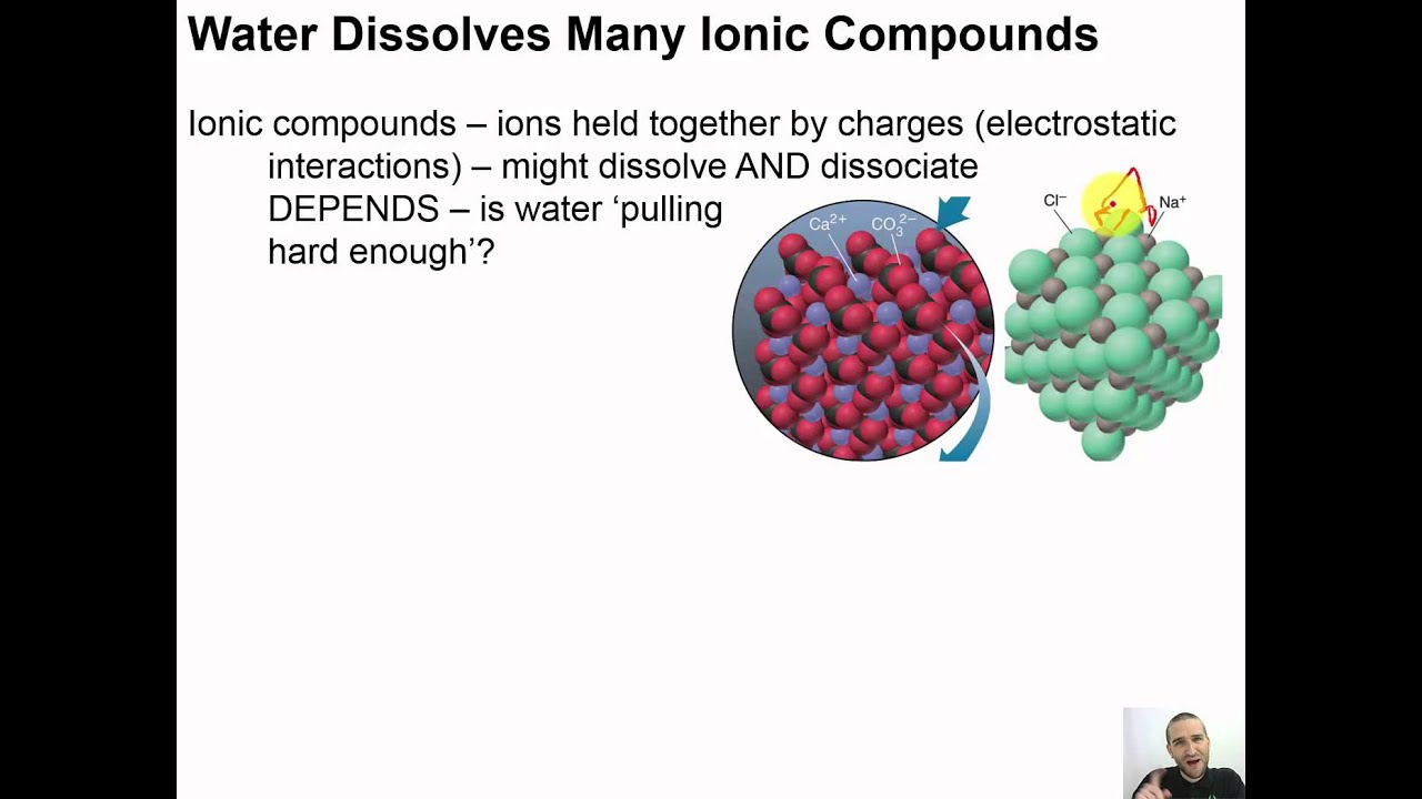 Chapter 08 - 08 - Water Dissolves Many Ionic Compounds - YouTube