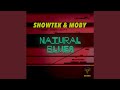Natural Blues mp3