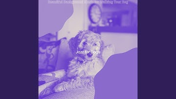 High-class Backdrops for Separation Anxiety