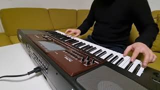 Korg Pa 700 Dilara,Kesikçayir. Resimi