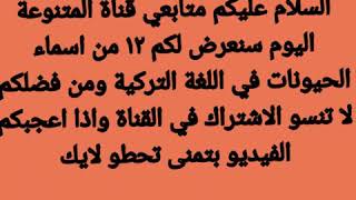 ١٢ اسم حيوان في اللغة التركية