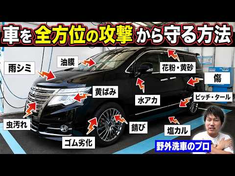 [Car Wash] The Definitive Guide to Section-Specific Coatings to Protect Your Car from Every Angle...