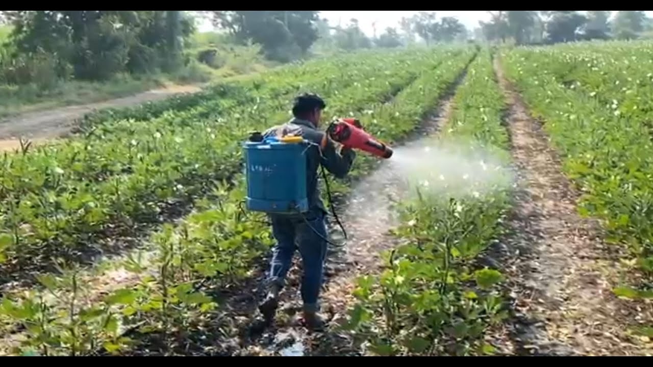 Mist Blower power spray