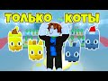 ПРОШЕЛ ИГРУ ЗА 1 ЧАС ТОЛЬКО С КОТАМИ CAT PETS В PET SIMULATOR X ROBLOX