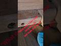 What a Bed Bug Infested Bed Frame Looks Like