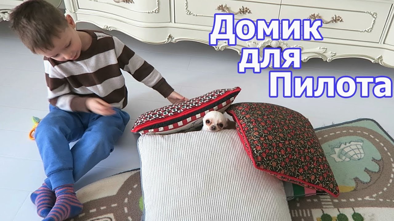 Климкин VLOG / Любимый мультик / Строим домик для собак - YouTube