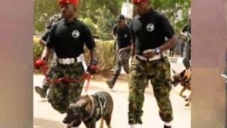 Warbay Life With Comrade Stanley