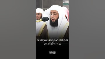 وَأَوْحَيْنَا إِلَىٰ أُمِّ مُوسَىٰ أَنْ أَرْضِعِيهِ ۖ. تلاوة مميزة الشيخ بدر التركي من سورة القصص.