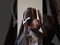 Tutorial smoothing blow permanent 1  blowperm blowpermanent smoothing