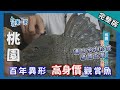 桃園【冠軍武林小學 / 百萬抵債魟魚 / 極限單速車 】│2017.08.29│《台灣第一等》完整版