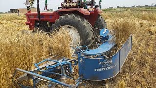 Reaper Binder Machine Cutting Wheat With 640 Tractor New Season | Agriculture In Punjab Pakistan