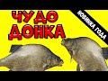 ЧУДО СНАСТЬ ДЛЯ РЫБАЛКИ! ЗВЕНЯЩАЯ  ДОНКА! НОВИНКА В ДОННОЙ ЛОВЛЕ!