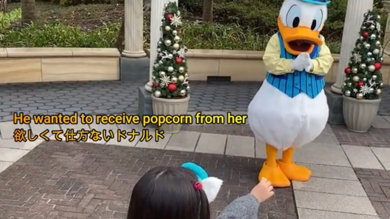 ポップコーンをもらうドナルド Donald Duck Got Popcorn ディズニーグリーティング Disneyland Tokyo Youtube