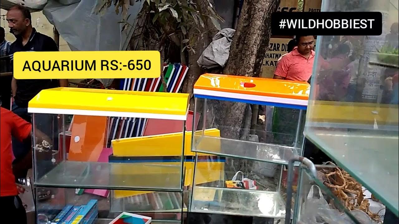 AQUARIUM PRICE IN INDIA GALIF STREET PET MARKET AQUARIUM TANK PRICE