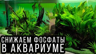 How to lower the phosphates of PO4 in the aquarium! A very simple way!