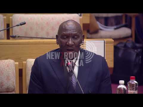 Ad Hoc Committee to recommend a criminal investigation against Cele