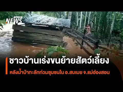 Villagers scramble to relocate livestock after flash floods hit community in Sop Moei District, M...
