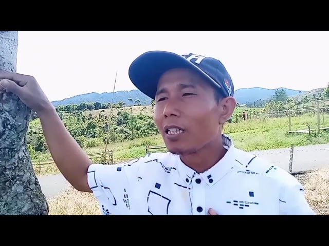 #MUSIK | lagu kerinci terbaru TIRAI EMBUN//vocal: wo edis //cipta:wo edis //Shoting:Jendra Piqal class=