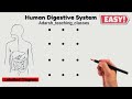12 dots की मदद से human digestive system labelled diagram class 10 || मानव पाचन तंत्र चित्र#biology