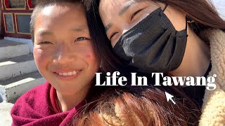 Download lagu 𝐁𝐚𝐜𝐤 𝐭𝐨 𝐇𝐨𝐦𝐞🏔|𝐋𝐢𝐟𝐞 𝐢𝐧 𝐓𝐚𝐰𝐚𝐧𝐠|𝐓𝐚𝐰𝐚𝐧𝐠 𝐌𝐨𝐧𝐚𝐬𝐭𝐞𝐫𝐲