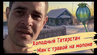 Холодный Татарстан / МАК с ТРАВОЙ на молоке