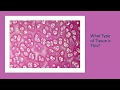 Anatomy practical exam tissue histology slide review for final