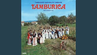 Video thumbnail of "KUD "Tamburica" Staro Petrovo Selo - Kalendara"