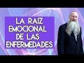 La Raíz Emocional de las Enfermedades