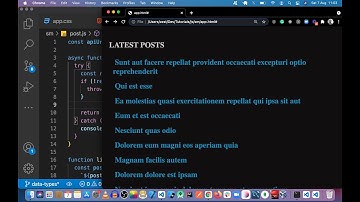 JavaScript fetch API - GET data from external REST API & display with HTML/CSS DOM manipulations