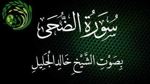 سورة الضحى بصوت الشيخ خالد الجليل .. زين