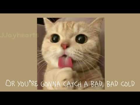 Harness your hopes- Pavement [Sped up + Lyrics]
