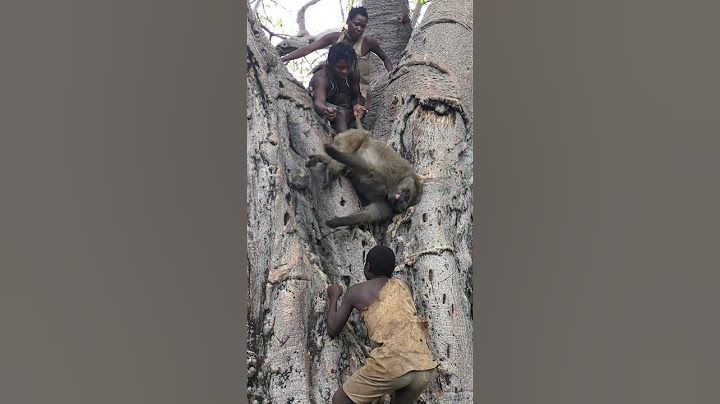 it's Amazing,,, 😍 how Hadzabe Hunt BABOON will Surprise you 🫢