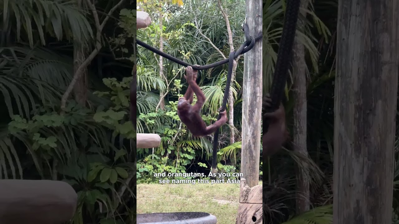 New Way Finding at Zoo Miami