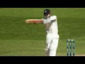 Master Kane Williamson's Pull Shot 🏏