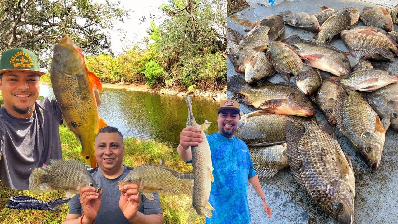 Buena pesca! NUEVO LUGAR Naples, Florida! vamos con todo para este 2023.