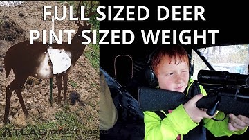 Atlas Target Works - Light Whitetail Buck