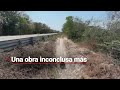 Video de Calakmul