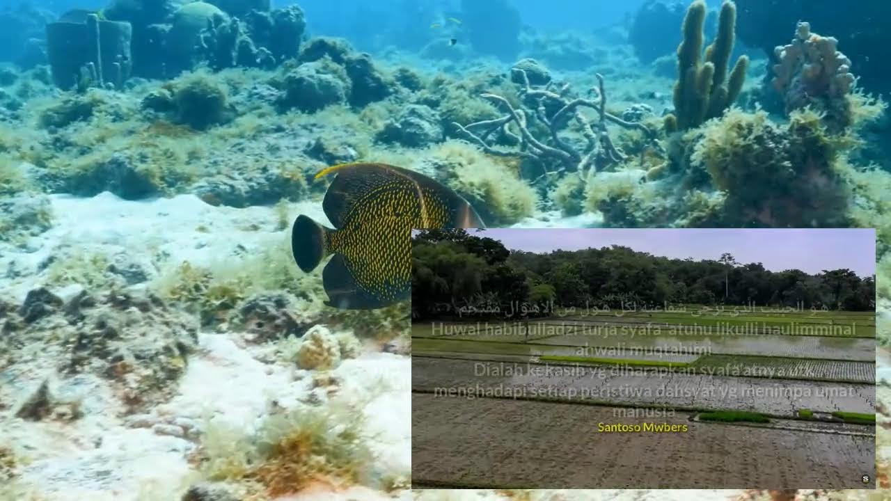 TES : Robbana Zolamna Anfusana