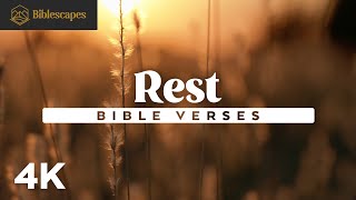 Bible Verses For Rest 4K 22 Minutes 90 Scriptures Audio Bible Music