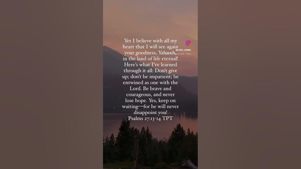 Psalms 27 13 14 Explanation