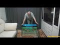 Подарили аквариум