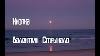 Валентин Стрыкало - Кнопка (cover by номер девять)