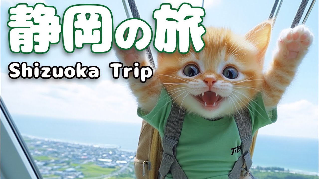 Shizuoka Prefecture] The sights and flavors a kitten encounters in