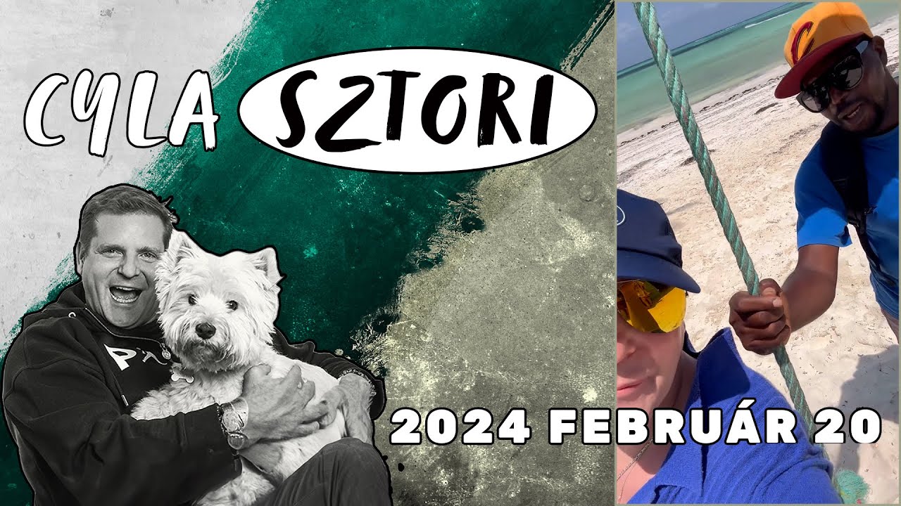 Cyla Sztori: Mr. Brown meghintáztat (2024/02/20) | Kajdi Csaba