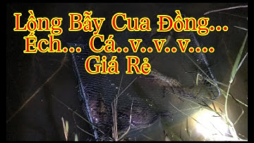 Nghề Bẫy Cua Đồng.... Lồng Bẫy Cua Đồng... Cá... Ếch...#cauca #bẫycua #tiktok #caucasong