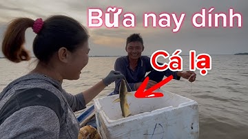 Bữa nay dính con cá lạ trúng mánh một thao cá // UQMT-369