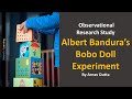 The Bobo Doll Experiment: Unpacking Social Learning and Behavior in Children
