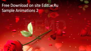 Red Rose Animation Video Background Hd Footage. Free Download Without Registering